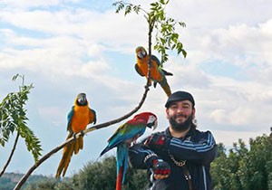 Üç papağanıyla Antalya sokaklarında